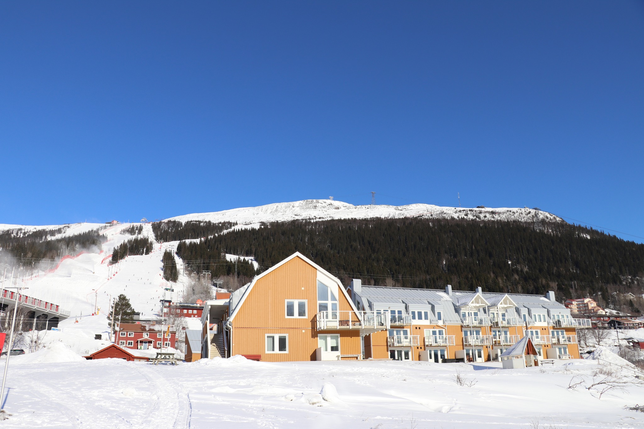 Vinterbild över Lake Lodge och skidbacken.