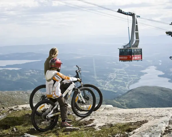 Mamma och son står på toppen av en backe i sommaren med sina mountainbikes.